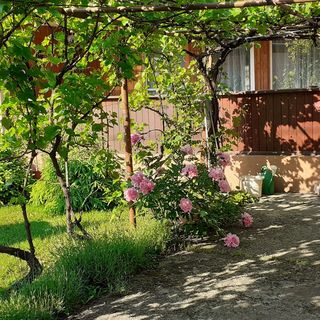 Honey Üdülőház Mezőkövesd (4)