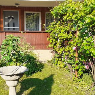 Honey Üdülőház Mezőkövesd (5)