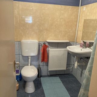 Rózsás Apartman Hajdúszoboszló (5)