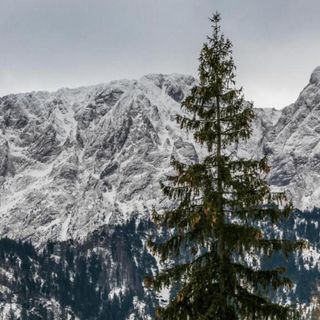 TWOJA CHATA Apartament pod lasem Kościelisko (4)