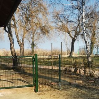 Nap-Hal Vízparti Ház Balatonszárszó (5)