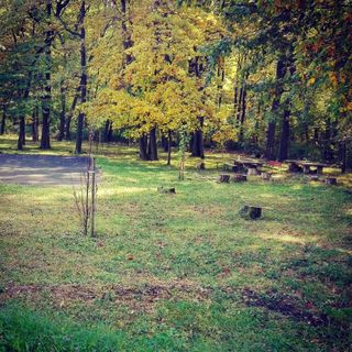 Fészek Apartman Sopron (5)