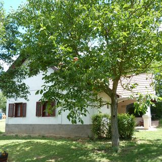 István Pince Vendégház Zamárdi (2)