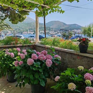 Apartmanok A Tenger Mellett Zaton Veliki, Dubrovnik - 2107 Zaton Veliki (4)