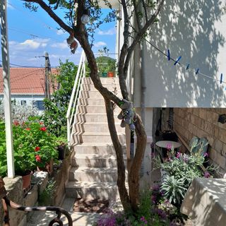 Apartmanok A Tenger Mellett Prozurska Luka, Mljet - 4939 Prožurska Luka (4)
