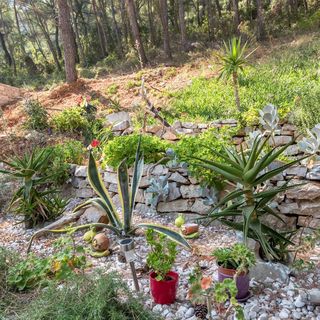 Apartmanok A Tenger Mellett Öböl Vela Stiniva, Hvar - 6864 Vela Stiniva (5)