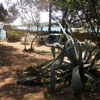 Apartmanok A Tenger Mellett Artatore, Losinj - 7935 Artatore (5)