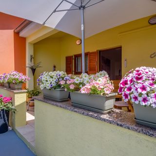 Apartmanok A Tenger Mellett Artatore, Losinj - 7952 Artatore (5)