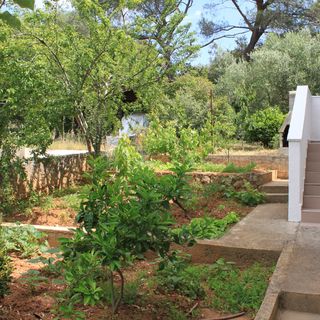 Apartmanok Parkolóhellyel Artatore, Losinj - 8007 Artatore (5)