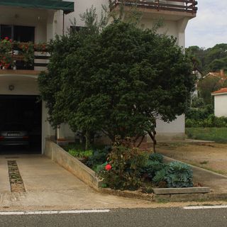 Apartmanok Parkolóhellyel Kraj, Pasman - 8502 Kraj (5)