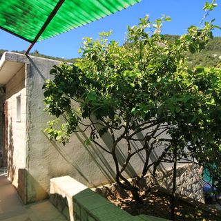 Apartmanok A Tenger Mellett Öböl Mala Pogorila, Hvar - 8953 Mala Pogorila (4)