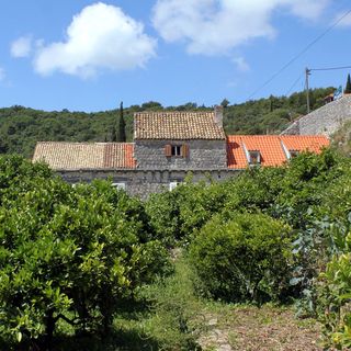 Apartmanok és Szobák A Tenger Mellett Zaton Mali, Dubrovnik - 8997 Zaton Mali (4)