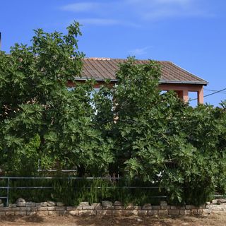 Apartmanok A Tenger Mellett Gornji Karin Novigrad - 11806 (2)