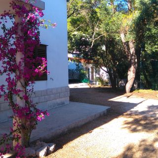 Nyaralóház A Tenger Mellett Mokalo, Peljesac - 12137 Mokalo (3)