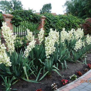 Pokoje Gościnne Wodnik Braniewo (4)