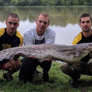 Duna-parti Apartmanház Leányfalu (2)
