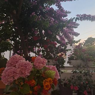 Apartmanok Parkolóhellyel Palit, Rab - 14610 Palit (5)