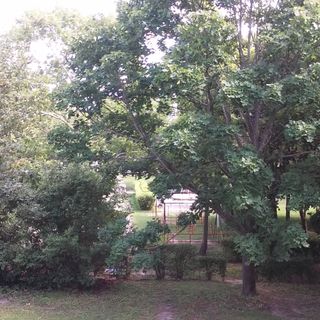 Napfény Apartman Balatonfüred (5)