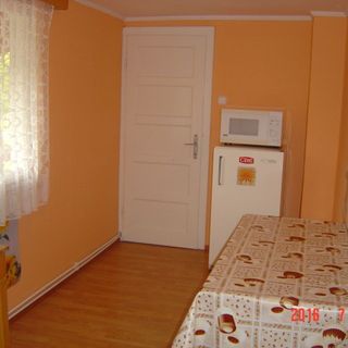 Casa de oaspeți Vadrózsa Praid (4)