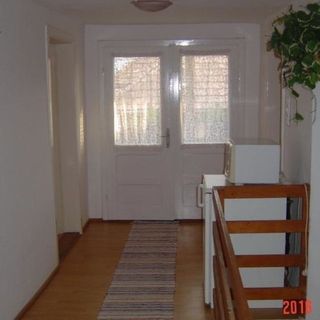 Casa de oaspeți Vadrózsa Praid (5)