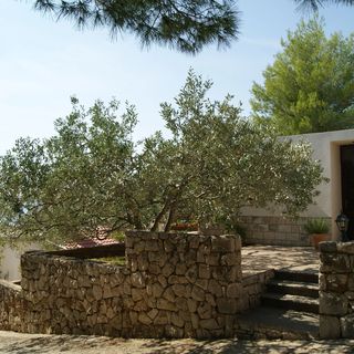 Robinzoni Apartmanok A Tenger Mellett Zavala, Hvar - 15357 Zavala (3)