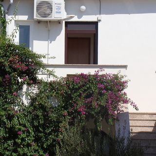 Apartmanok Parkolóhellyel Povljana, Pag - 15532 Povljana (4)