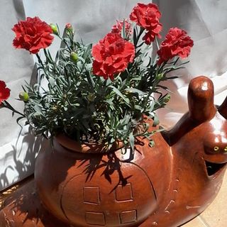 Délibáb Apartman Abádszalók (3)