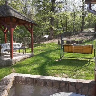 Erdei Kuckó Noszvaj-Síkfőkút (5)