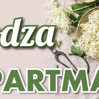 Bodza Apartman Mezőkövesd (3)