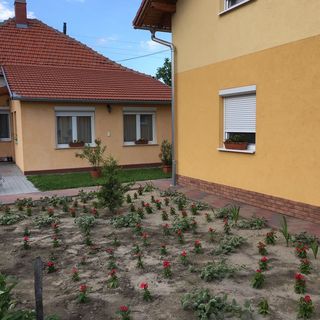 Nárcisz Vendégház Mórahalom (4)