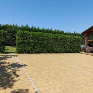 Hauk Apartman Zamárdi (3)