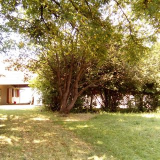 Olasz Apartman Szalafő (3)