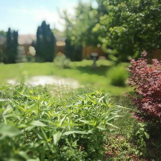 Norka Apartman Balatonszabadi (4)