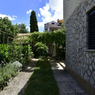 Apartment Palm Tree Malinska (5)