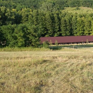 Bársonyberek Vendégház Jásd (4)