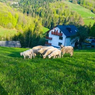 Willa pod Bukami Wisła (3)