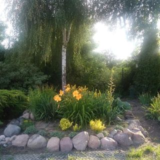 Apartamenty Warka (2)