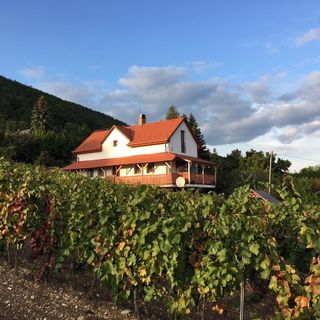 Szőlőcskei Vendégház és Pihenő Eger (3)