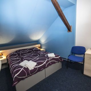 Penzion Grasel Nové Syrovice (4)