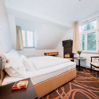 Hotel Hubertus Karlovy Vary (3)