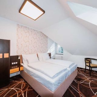 Hotel Hubertus Karlovy Vary (4)