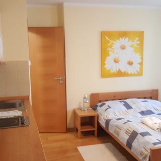 Pension Jihočeská pohoda Třeboň (5)