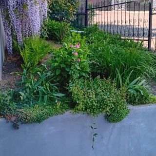 Sarokház Apartman Eger (5)