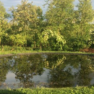 Tündérrózsa Udvarház Kiskorpád (2)