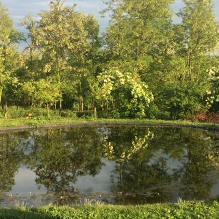 Tündérrózsa Udvarház Kiskorpád (2)