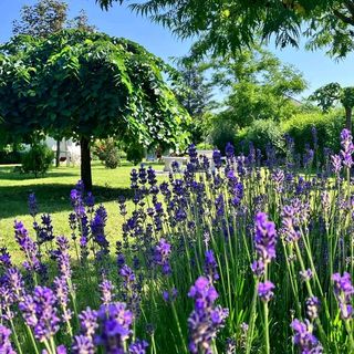 Gerendás Vendégház Poroszló (5)