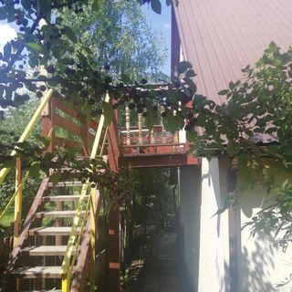 Aura noclegi Suwałki (4)