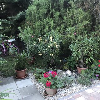 Piroska Apartman Siófok (5)