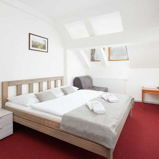 ProFamily Hotel TOP Benecko (5)