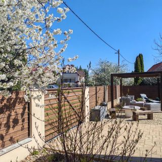 Vintage Apartman Mezőkövesd (4)